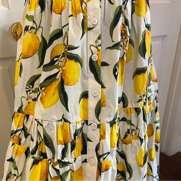 J. Crew Lemon Pattern Midi Dress - Picture 16 of 16
